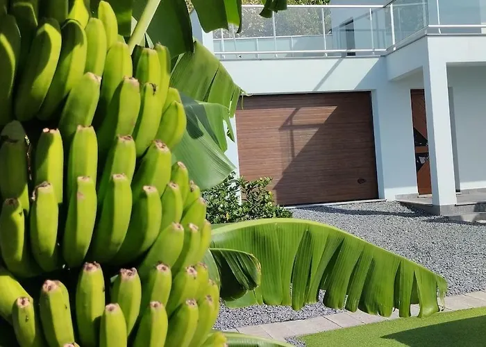 Villa O Pomar - A Quiet Sunny Place With Amazing Sea Views *