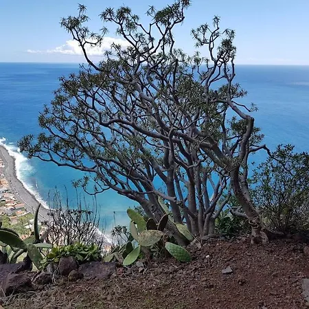 O Pomar - A Quiet Sunny Place With Amazing Sea Views *